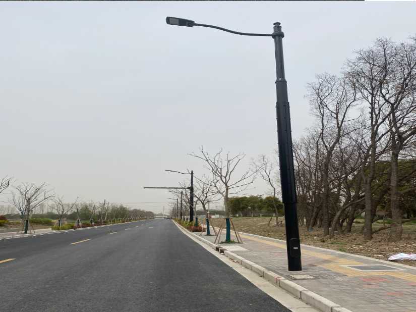 永州市上海综合杆 太阳能路灯工程